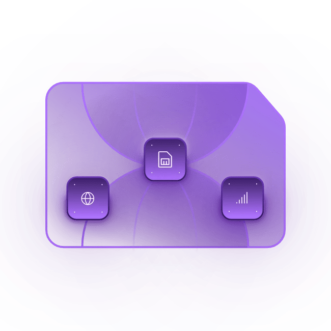 Travel SIM
